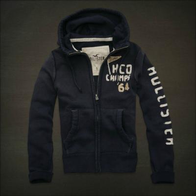 Hollister Men Hoodies-70